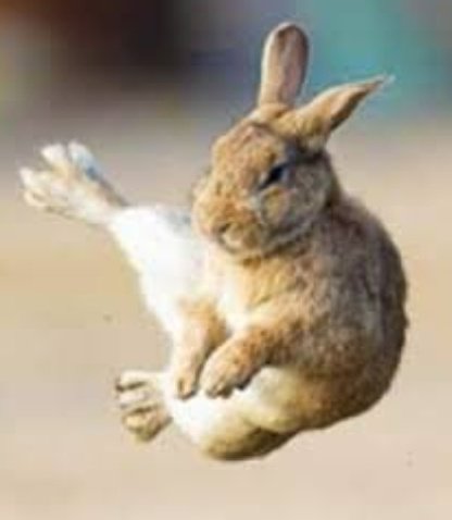 『🌟🪽Popopii ⏳️✨️』 tweet media