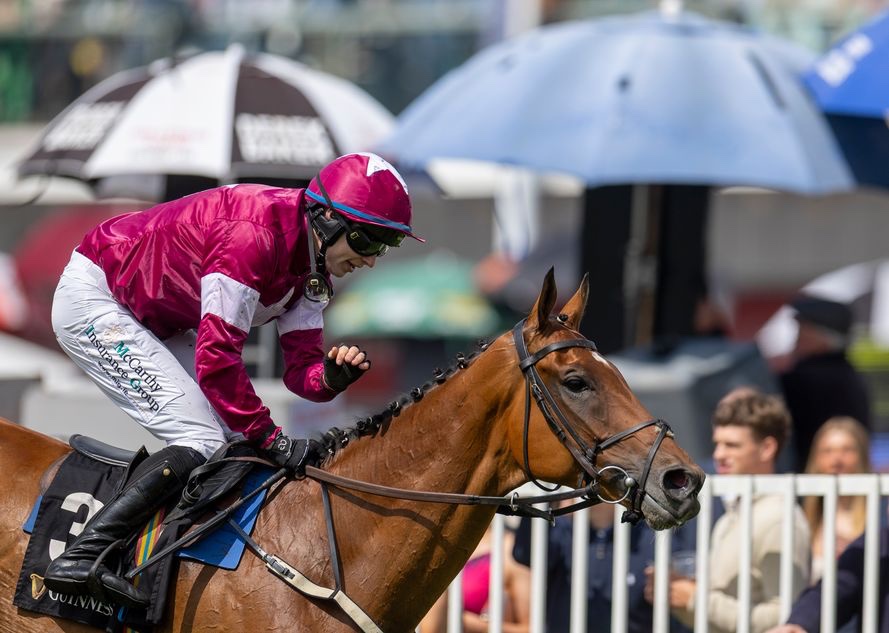 Racing Tips tweet media