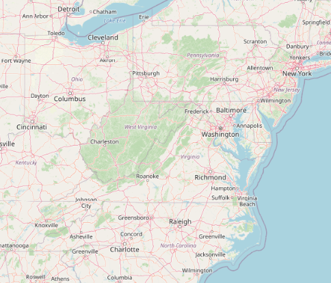 Jia 🥕 tweet media