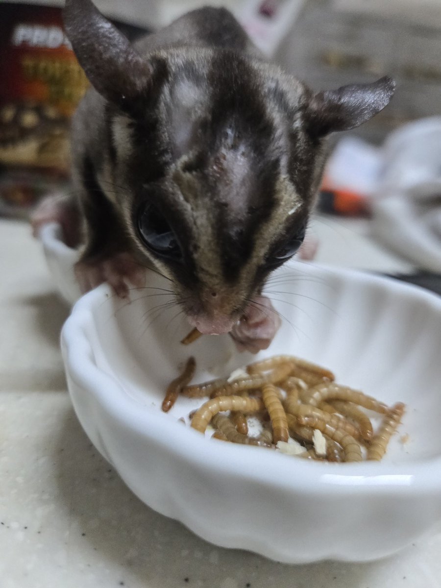 나의 툭툭이🐢 tweet media