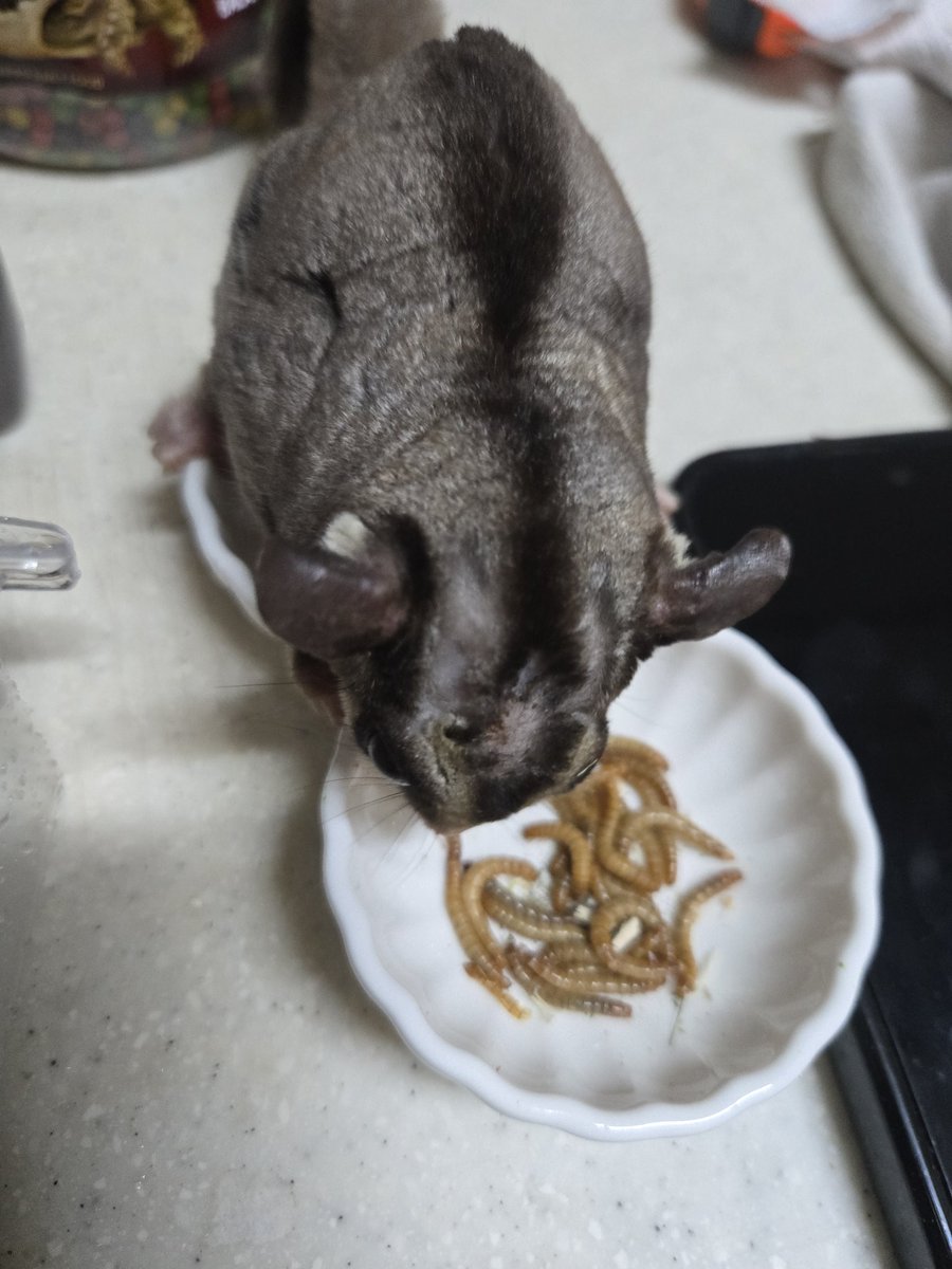 나의 툭툭이🐢 tweet media