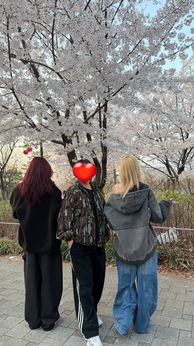 린다 ʕ·ᴥ·ʔ tweet media