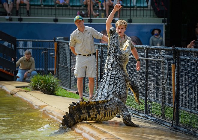 TM9380's tweet photo. It’d be fun to get another Chased By Dinosaurs style documentary. Putting a human presenter in gives a good sense of scale and, for younger audiences, danger. @Nigelmarven killed it back in 03, I could also see @RobertIrwin doing a great job today. https://t.co/pfqarFsMpm