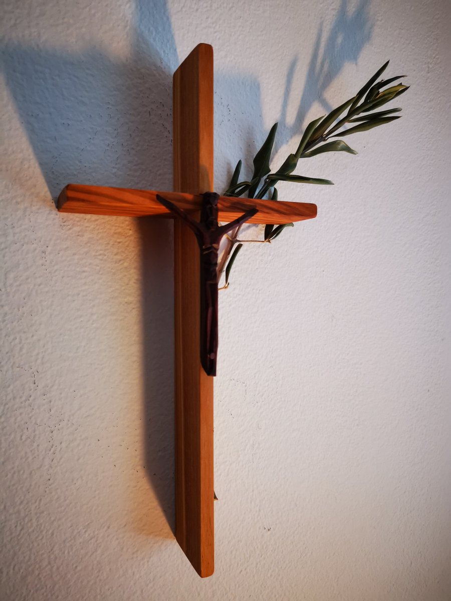 Nina Kokalj Oblak tweet media