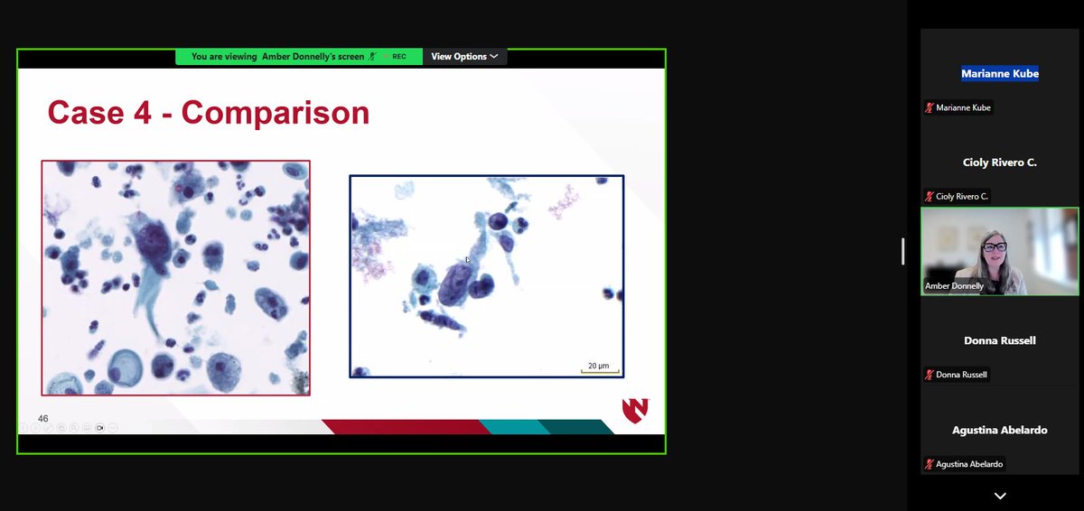 Cioly Rivero C. tweet media