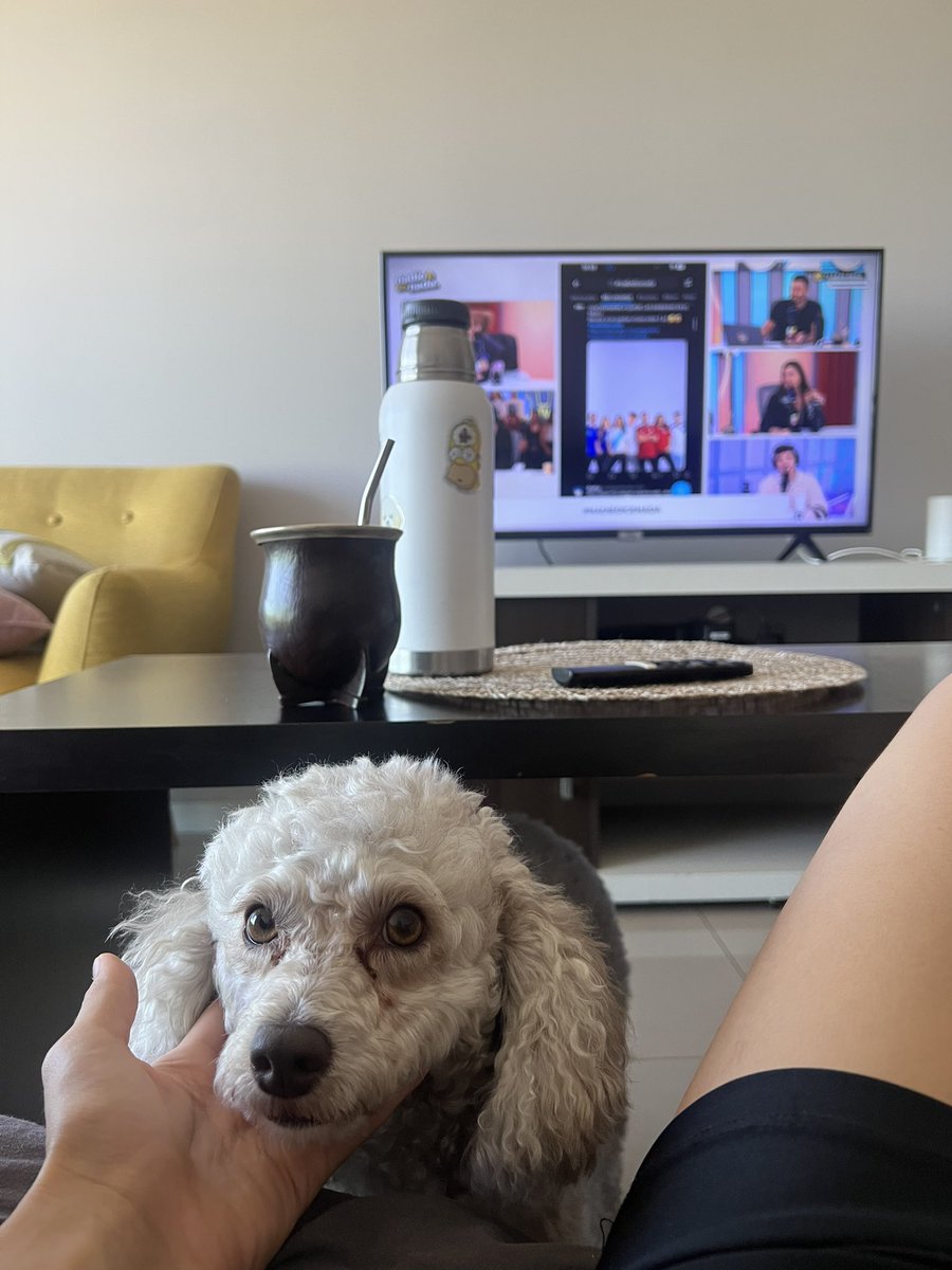 CataldiUrsu's tweet photo. De niñera hoy 🐕🐶 #nadiedicenada https://t.co/AyiljhL3LA