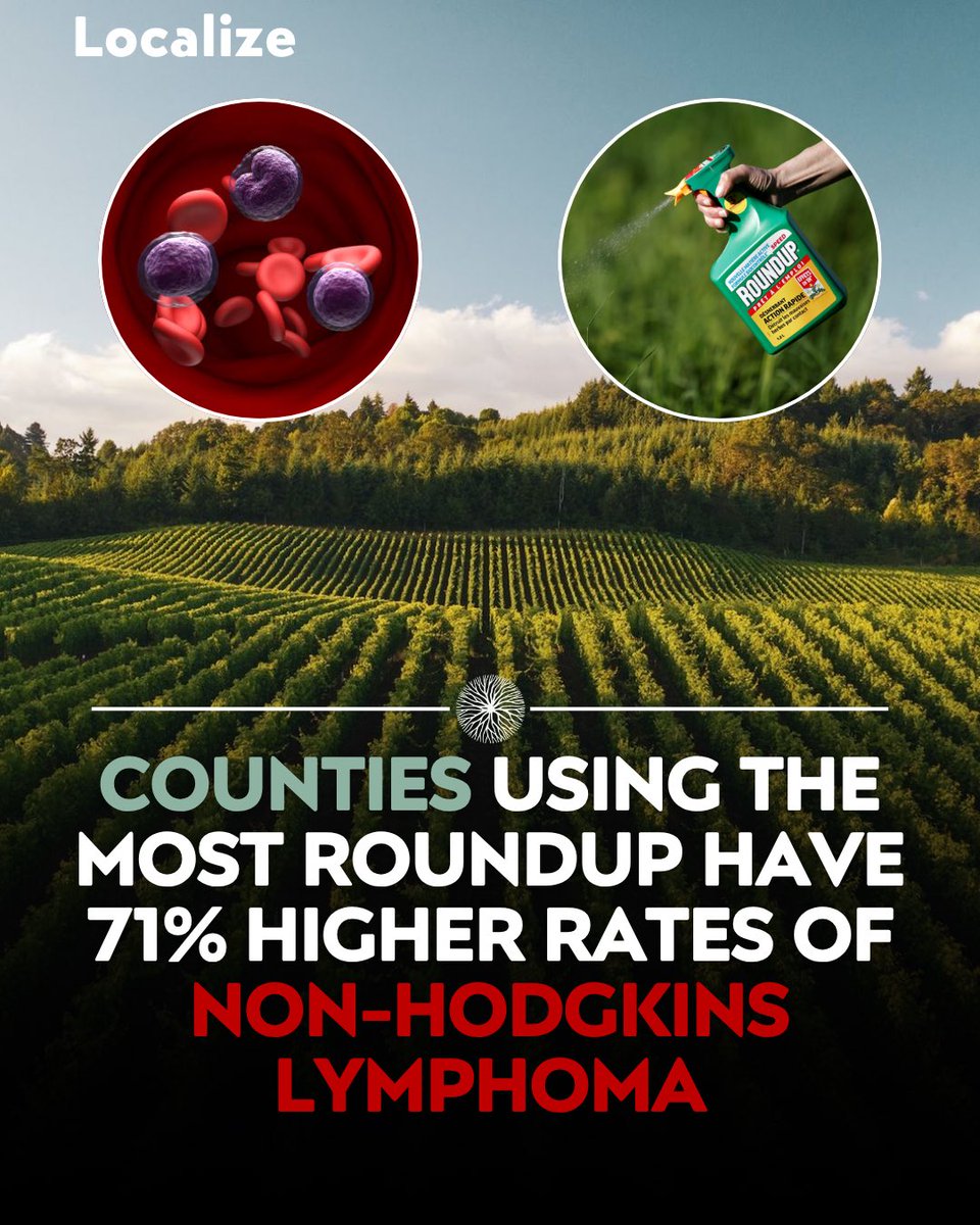 Localize - Farmers Market tweet media