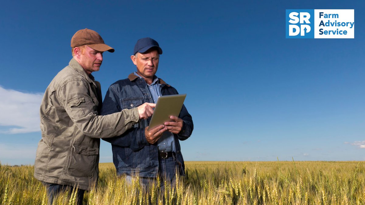 FASScot's tweet image. 📢 Funded one-to-one support for farmers and crofters is back - and backed! 💯% of Mentoring and ILMP recipients and 97% of Specialist Advice recipients recommend the service to others! 

🚜 Get support for your #ScottishFarming business through @FASScot fas.scot/advice-grants/
