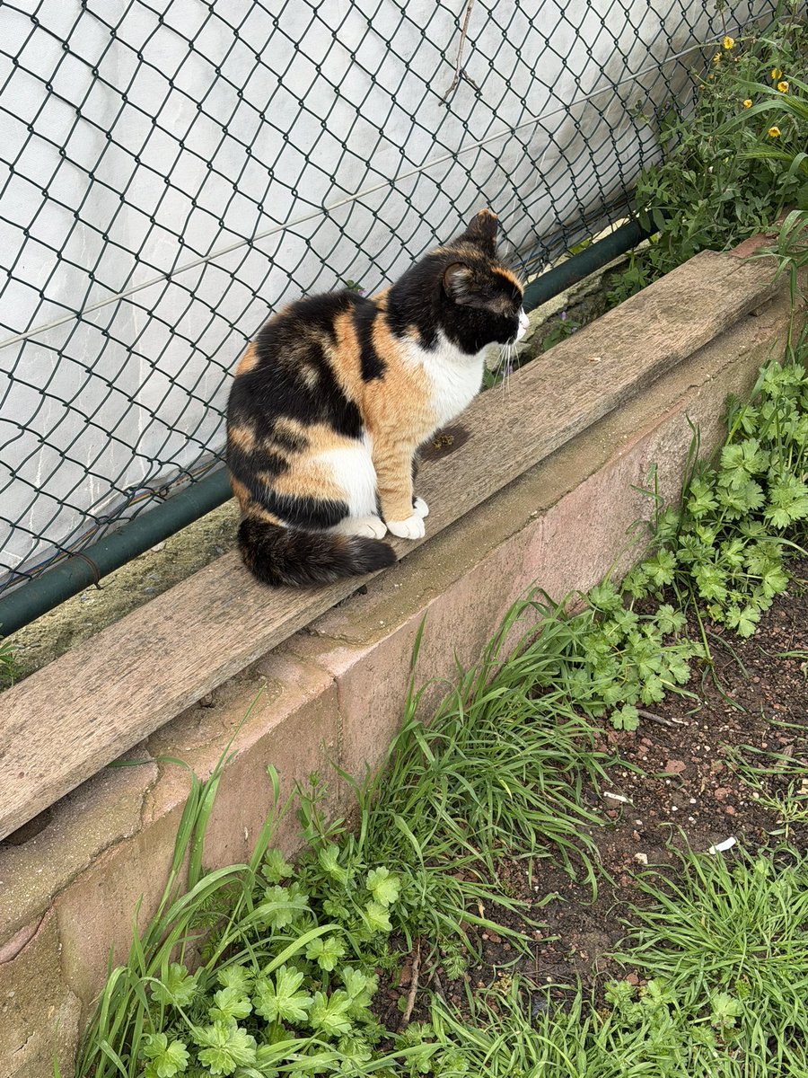 Boya takıntısı olan aramasın