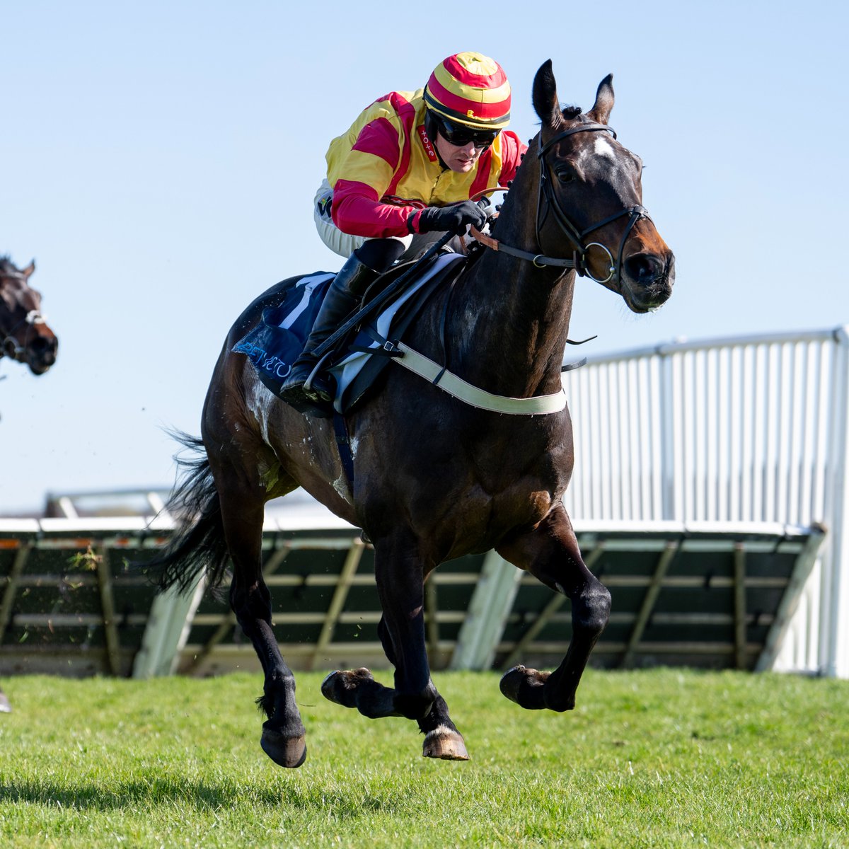 Racing Post tweet media