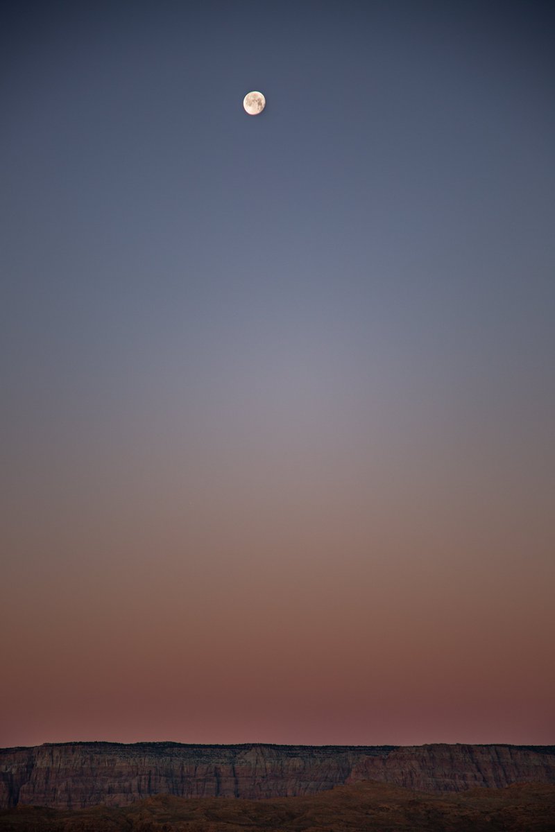 Poké Ball Legends tweet media