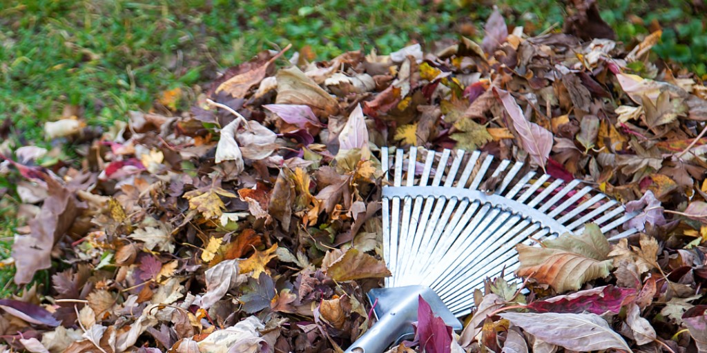 Brampton Grow Green tweet media