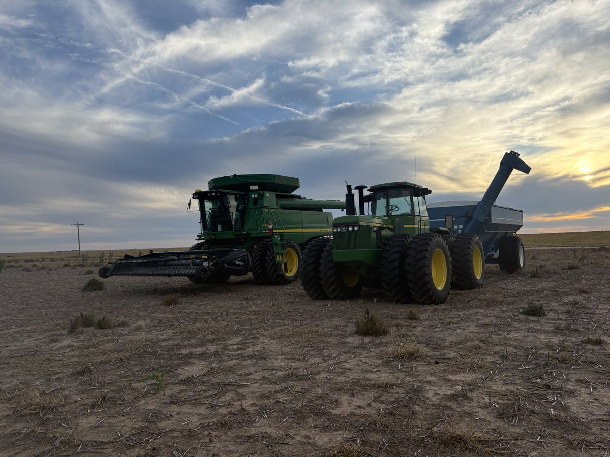 Justin McCaffrey tweet media