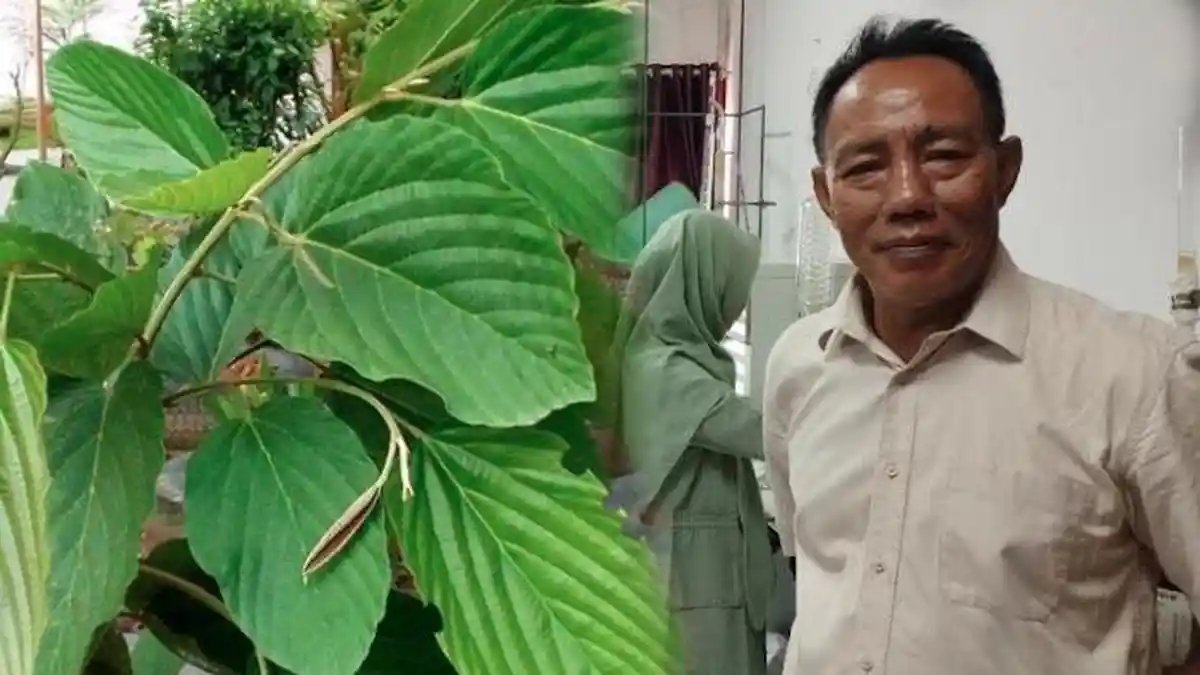 folkative tweet media