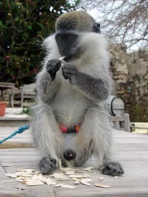 Nedim Şener 🇹🇷 tweet media