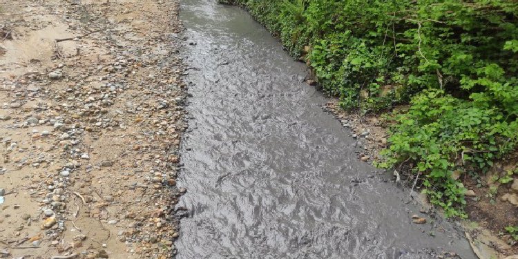 İstiklal Kadınları Hareketi tweet media