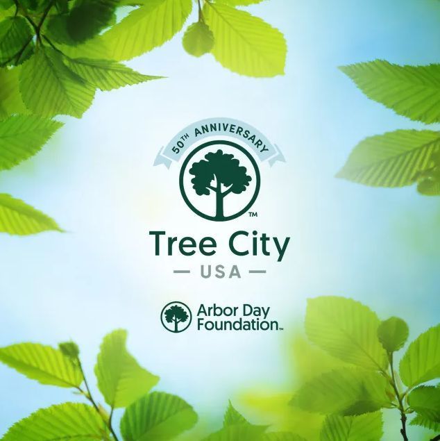 CITY OF SAINT PETER tweet media