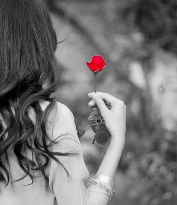 ˚𝜗𝜚˚⋆ᗩ૨εℓყ⋆˚𝜗𝜚˚ tweet media