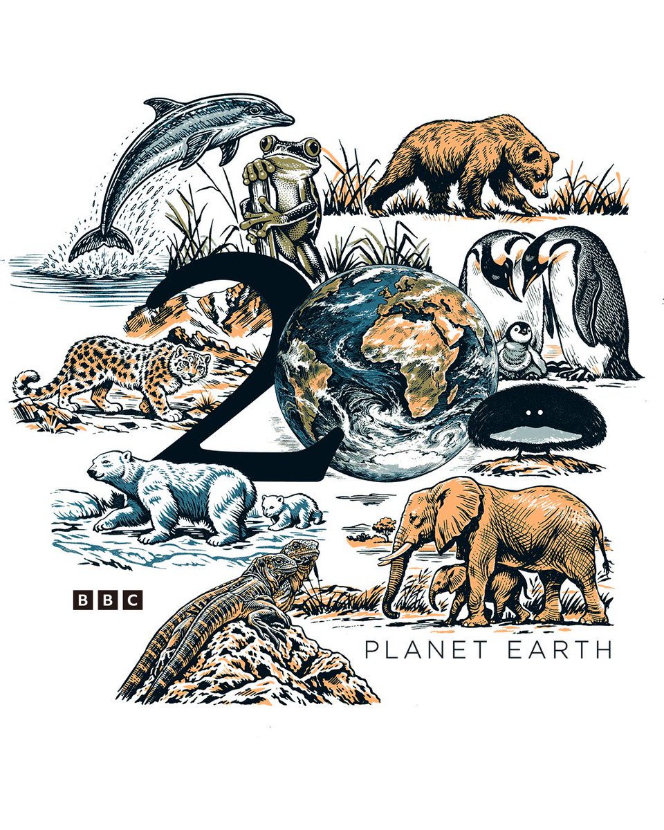 BBC Earth tweet media