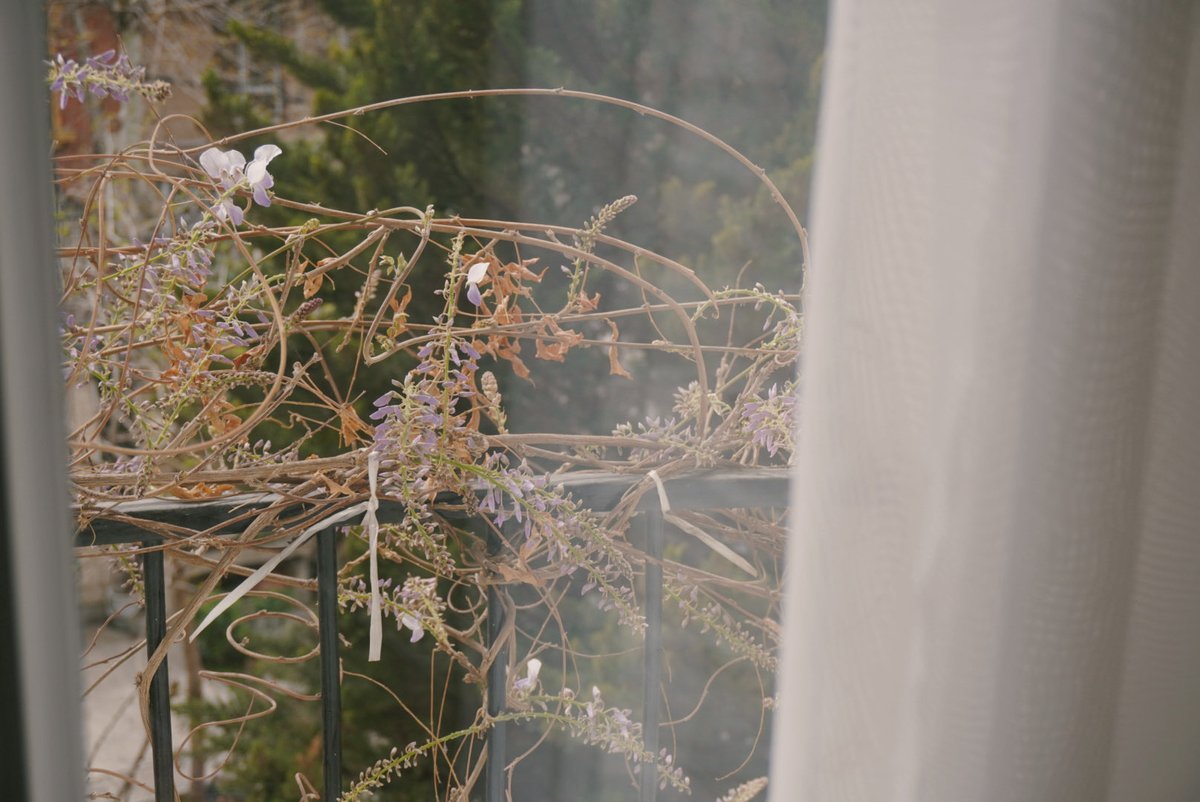 Captain 🥥 tweet media