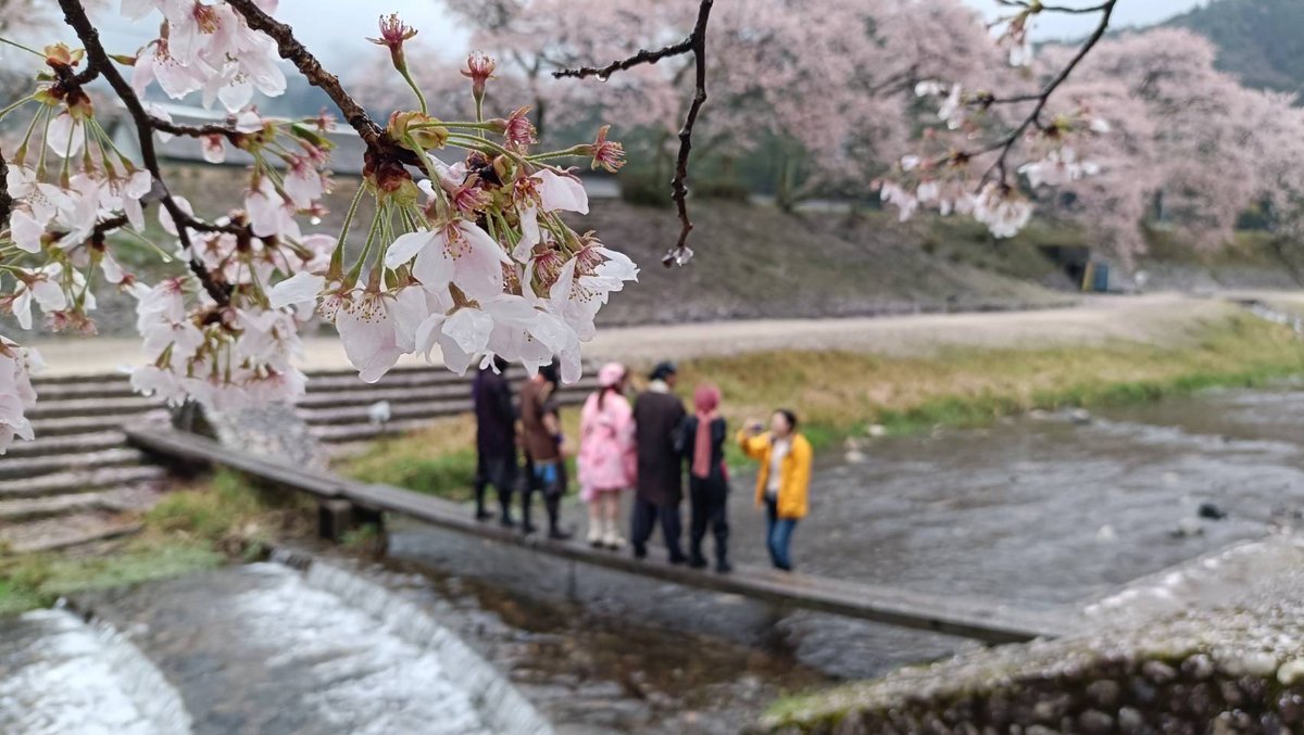 MIOマスク@甲賀流忍者 tweet media