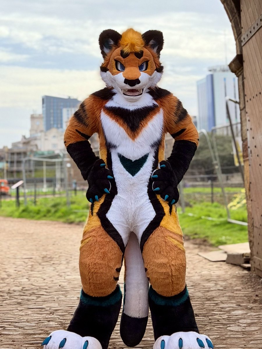 Cairo 🔜 ??? tweet media