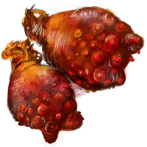 小泉毬藻 tweet media