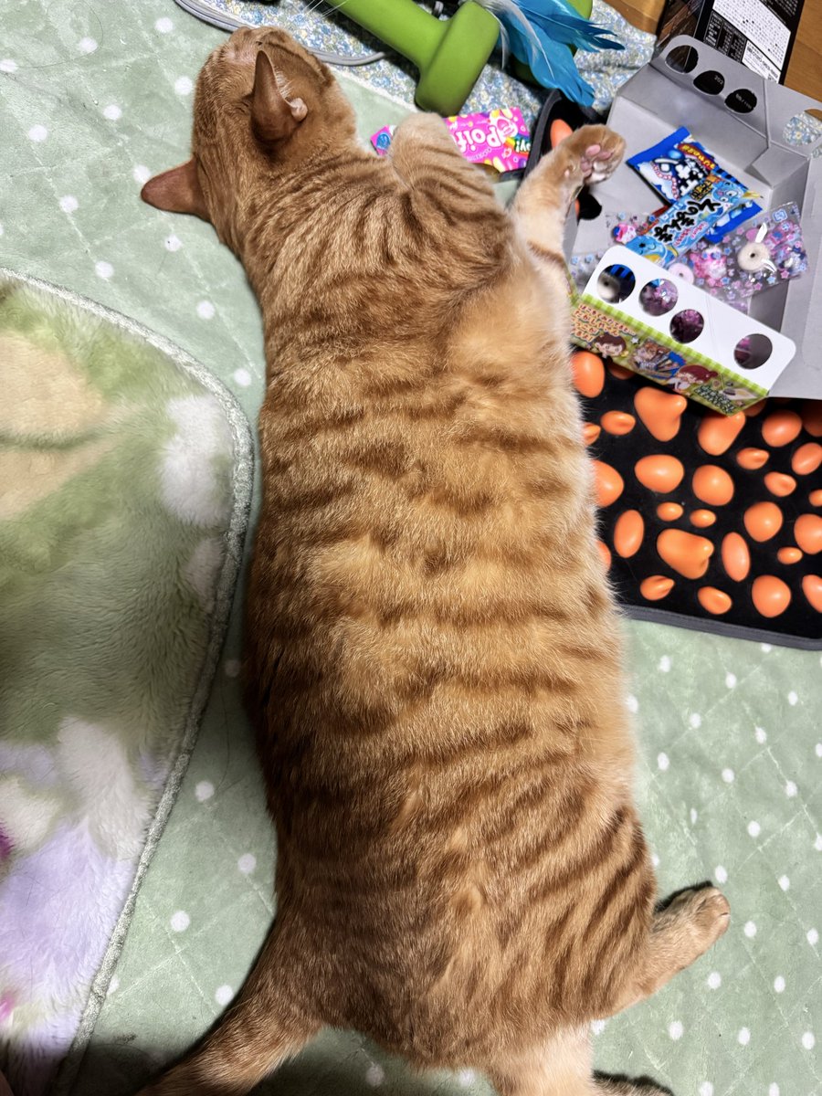 Tsuuta tweet media