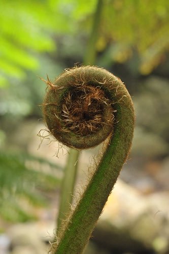 山猫だぶ㌠ tweet media