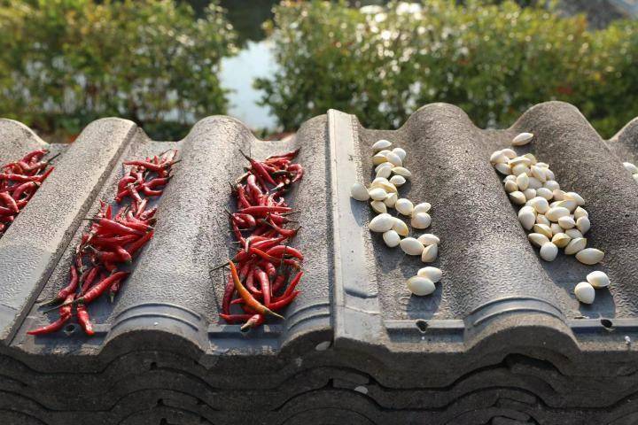 deepak Rawat tweet media