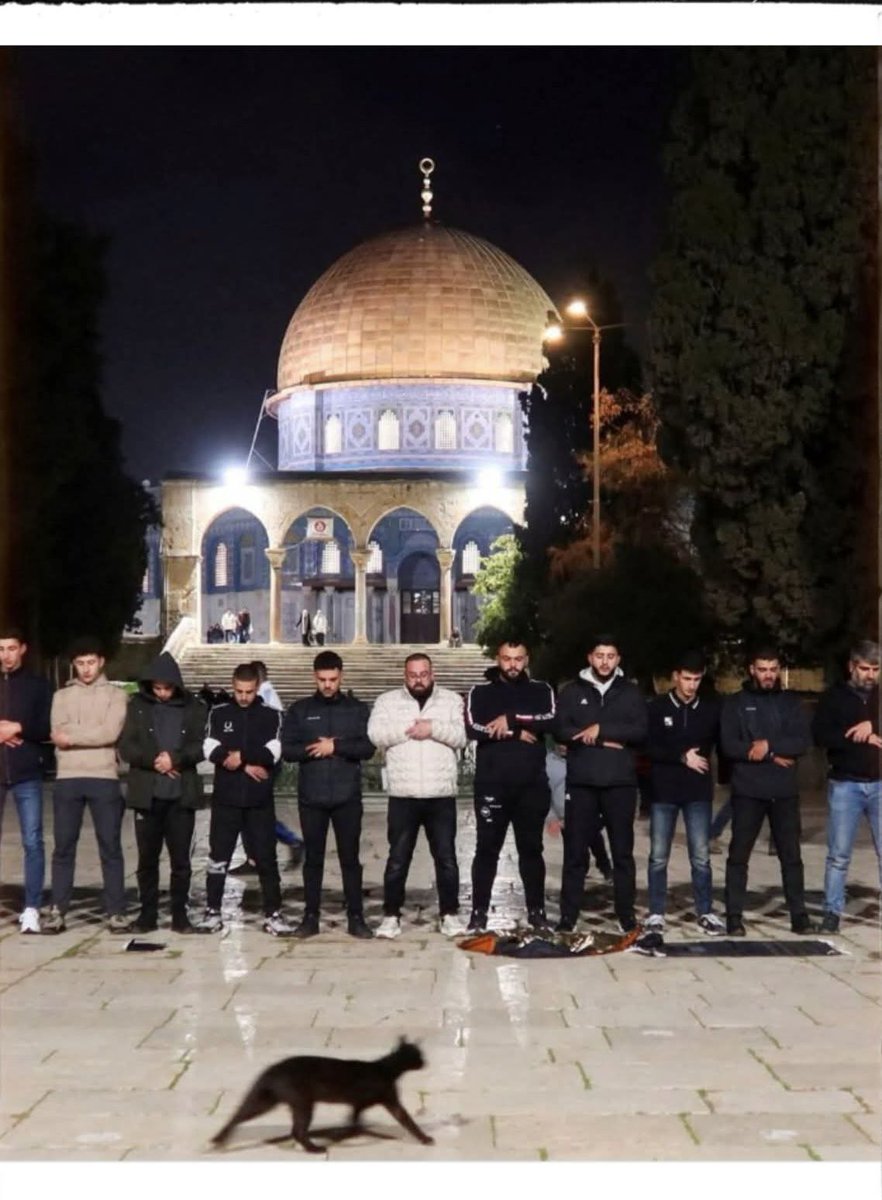 Mohd Safur tweet media