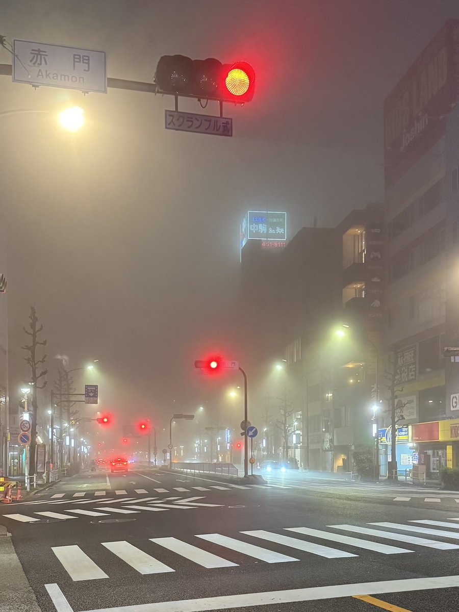 shinT_wear_succulent tweet media