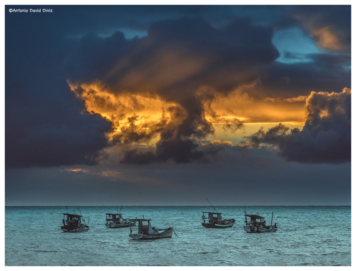 antoniodavidjp's tweet photo. Sexta-feira com poesia visual. Esta imagem compõe as páginas do meu livro O ser e o Mar, onde o olhar e a luz se transforma em narrativa. O livro está em preço Promocional. Adquira através de meu direct.
#natureza #fineartphotography https://t.co/FP3MhhjFrF