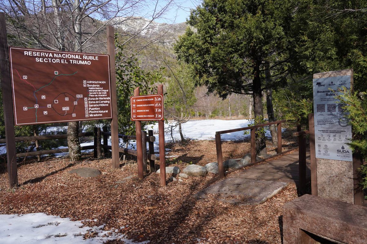 CONAF Ñuble tweet media