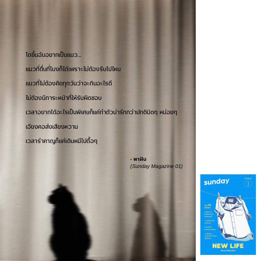 PAFUN พาฝัน tweet media