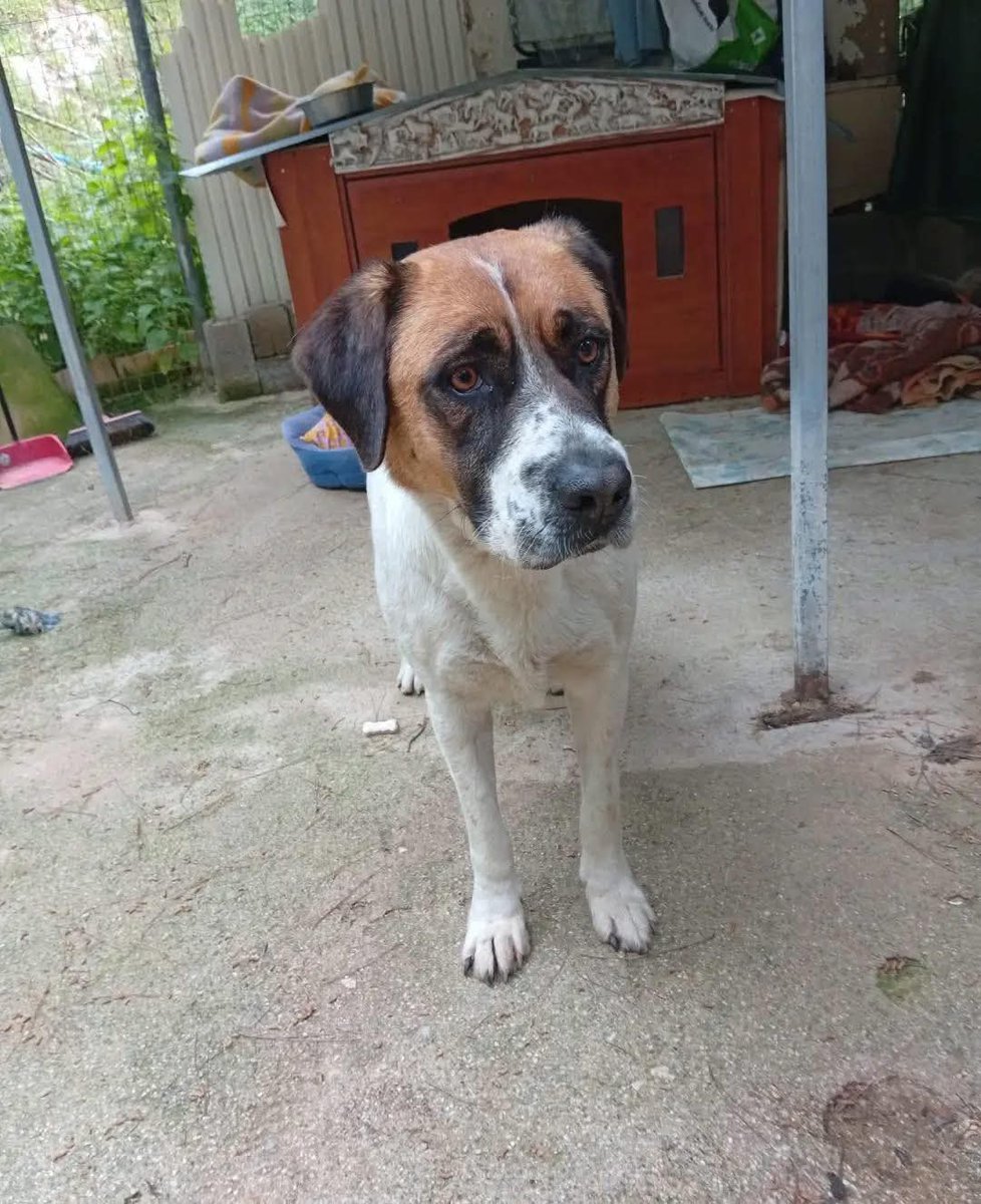 Χλε_Μπονα Σαμερ tweet media