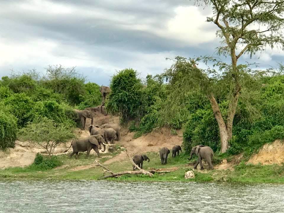 Doña Carmelita tweet media