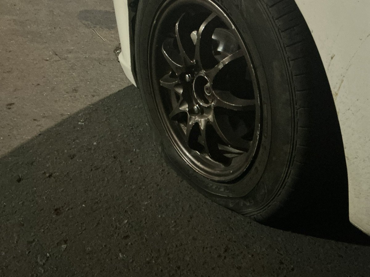 Edwardh Arjchie🐈⭐️ tweet media