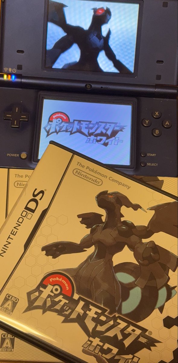 おもちゅ🌟⋆꙳ tweet media