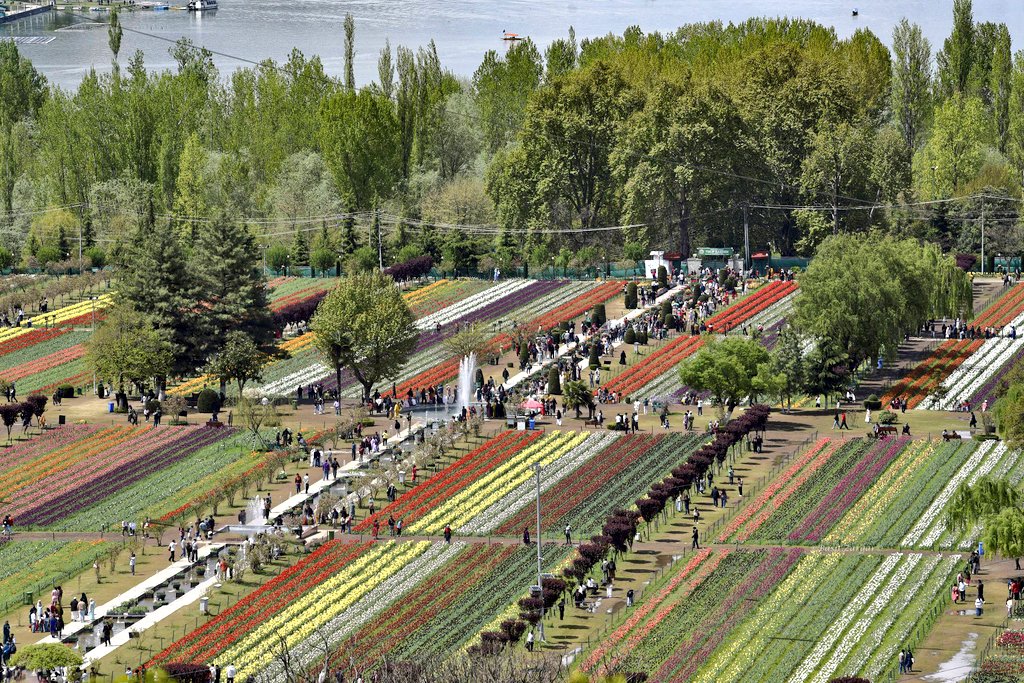 Basit Zargar (باسط) tweet media