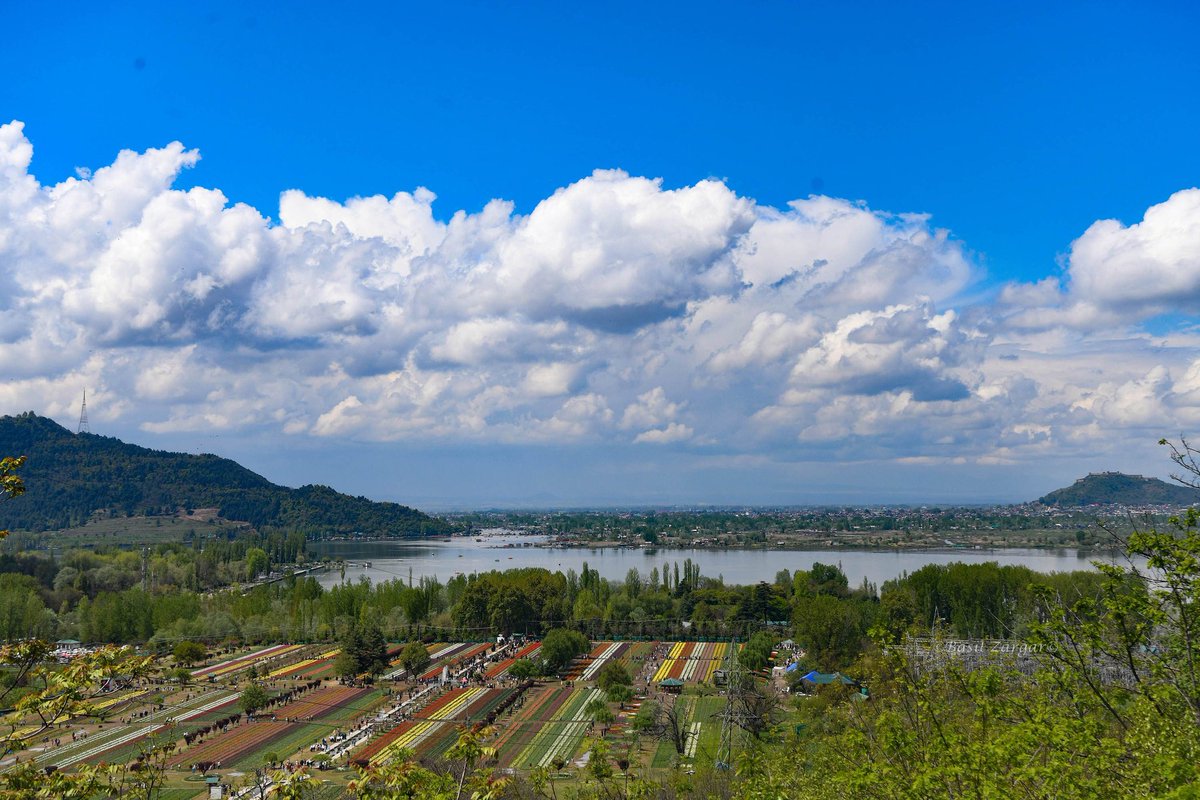 Basit Zargar (باسط) tweet media