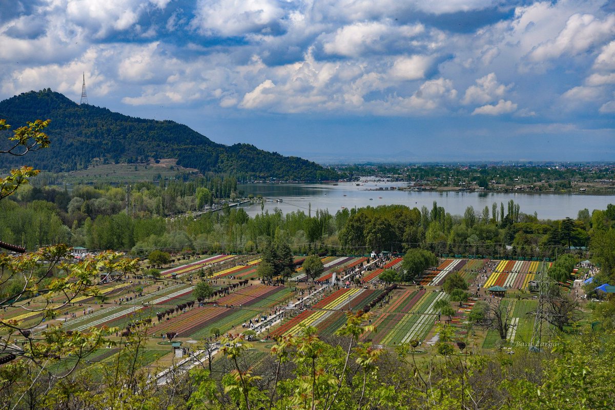 Basit Zargar (باسط) tweet media