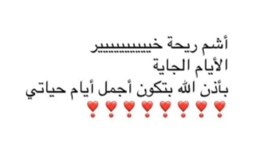 Narjes🛡313⚔️›̵ tweet media