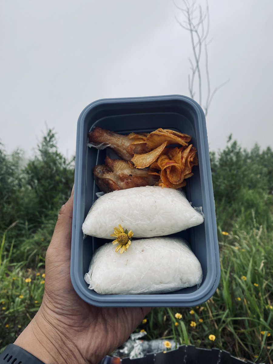 Gunung Hutan tweet media