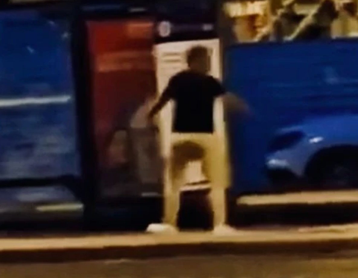 Viktoria Rita Roth tweet media