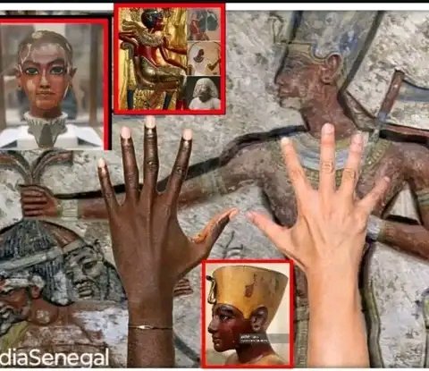 mansa abubakar tweet media