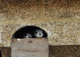 Joanne Smith tweet media