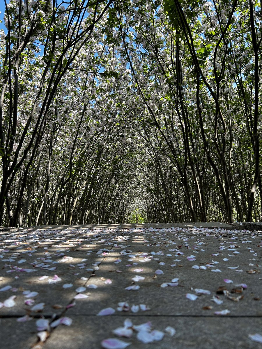 Wendy Yu tweet media