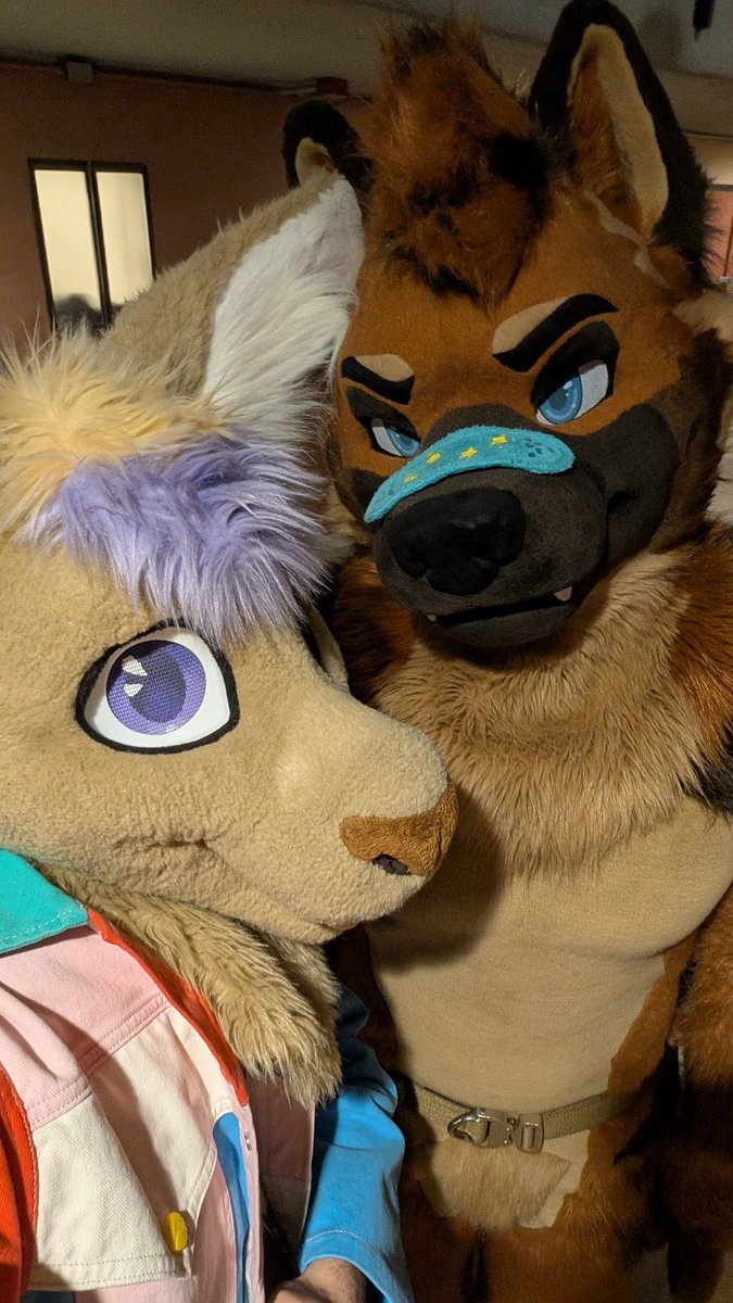 🩹☀️🌵Bandaid Roo!🌵☀️🩹➡️TFF, LVFC tweet media