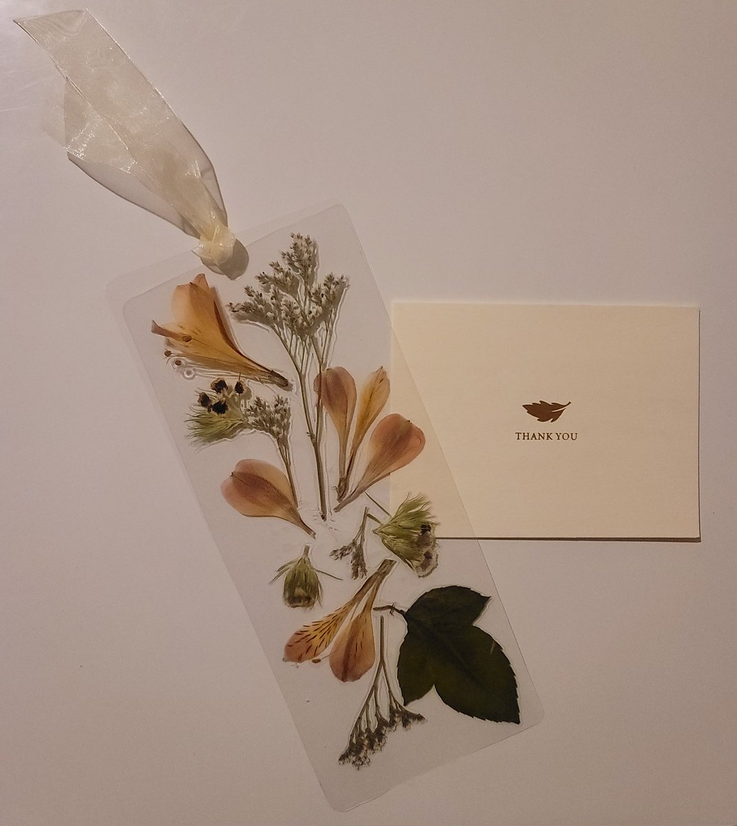 Penelope tweet media